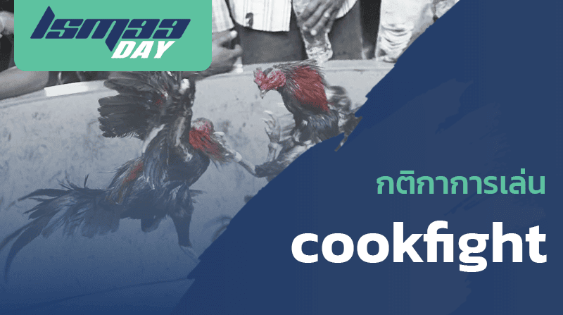 กติกาการเล่น cookfight