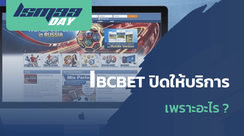 link ibcbet